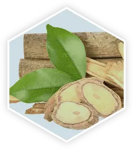 Tongkat Ali in ProstaVive formula