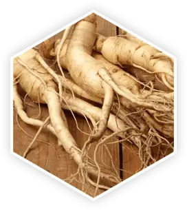 Panax Ginseng in ProstaVive formula