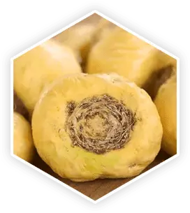 Maca Root in ProstaVive formula